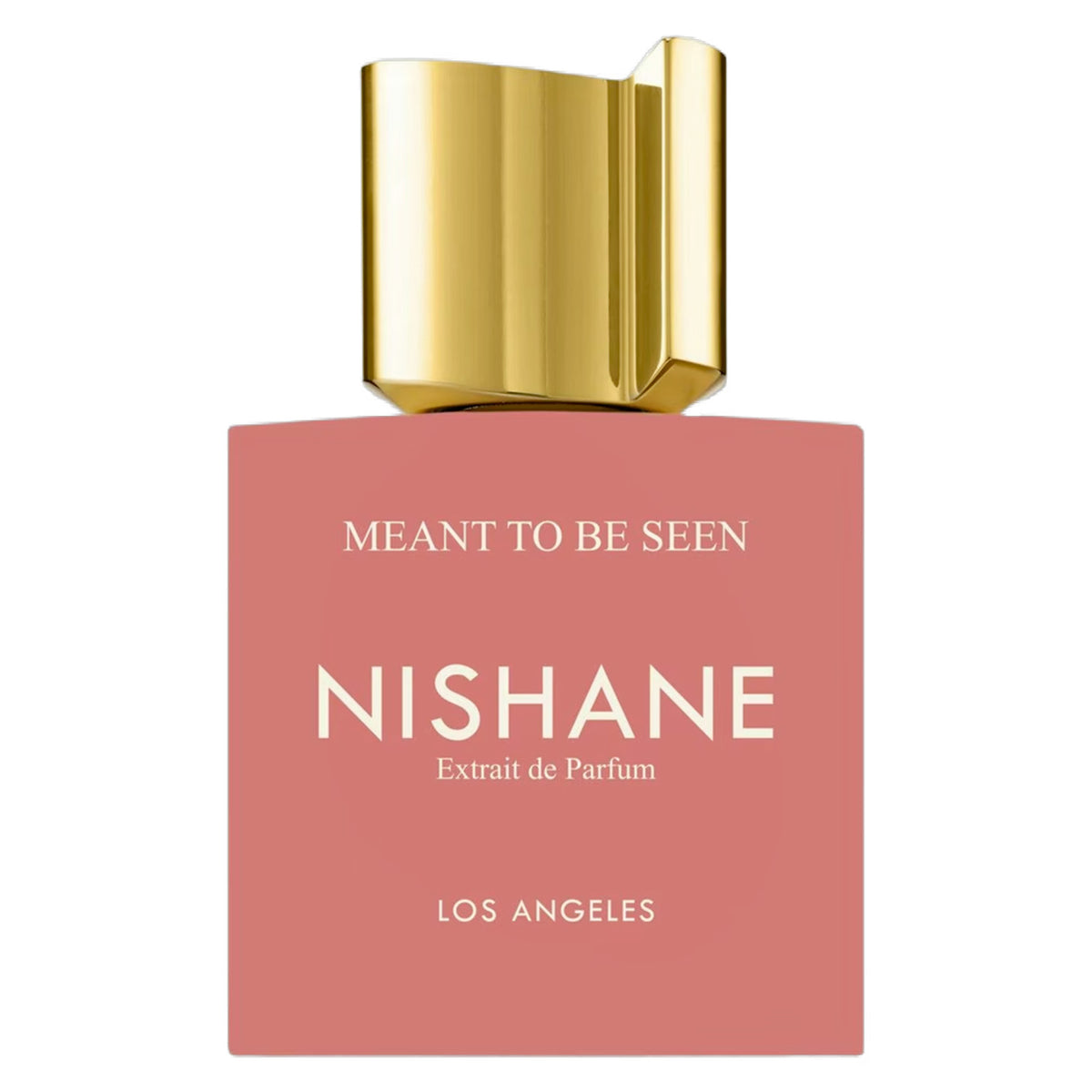 Meant To Be Seen Nishane parfum