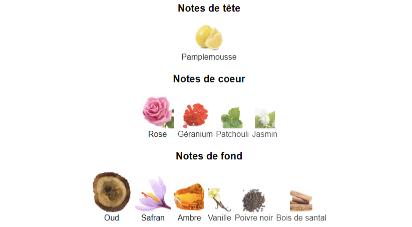 Parfum Sahraa Fragrance Du Bois unisexe