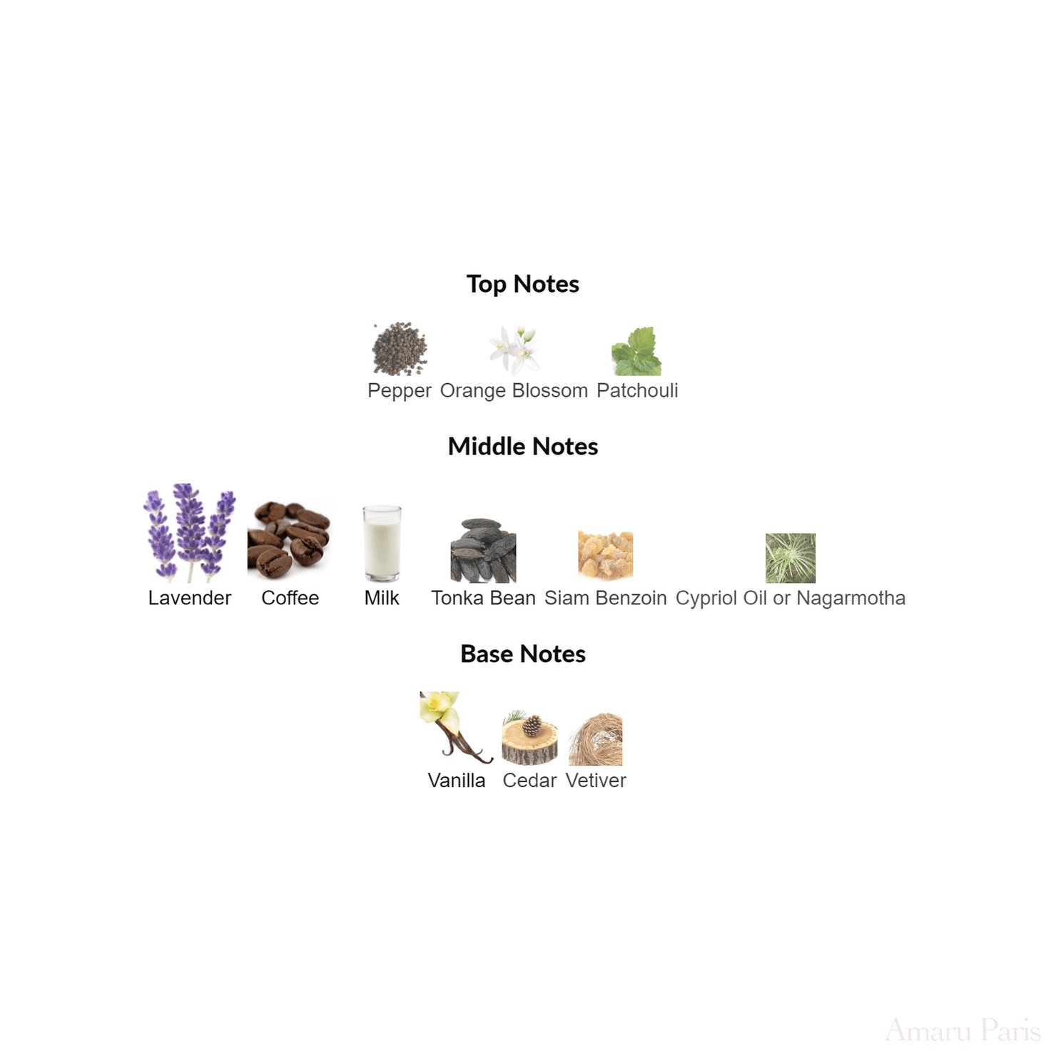 Coffee Break Maison Martin Margiela for women and men Decant Samples - ParfumAmaruParis