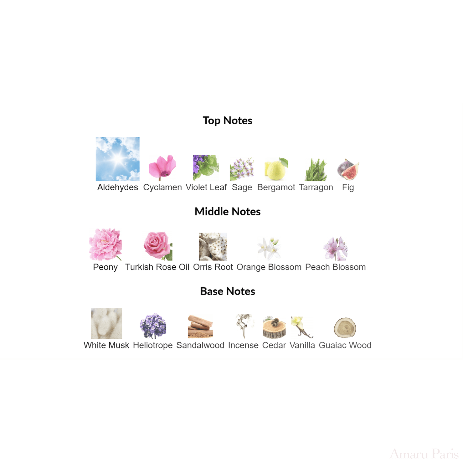 Dia Woman Amouage for women Decant Samples - ParfumAmaruParis