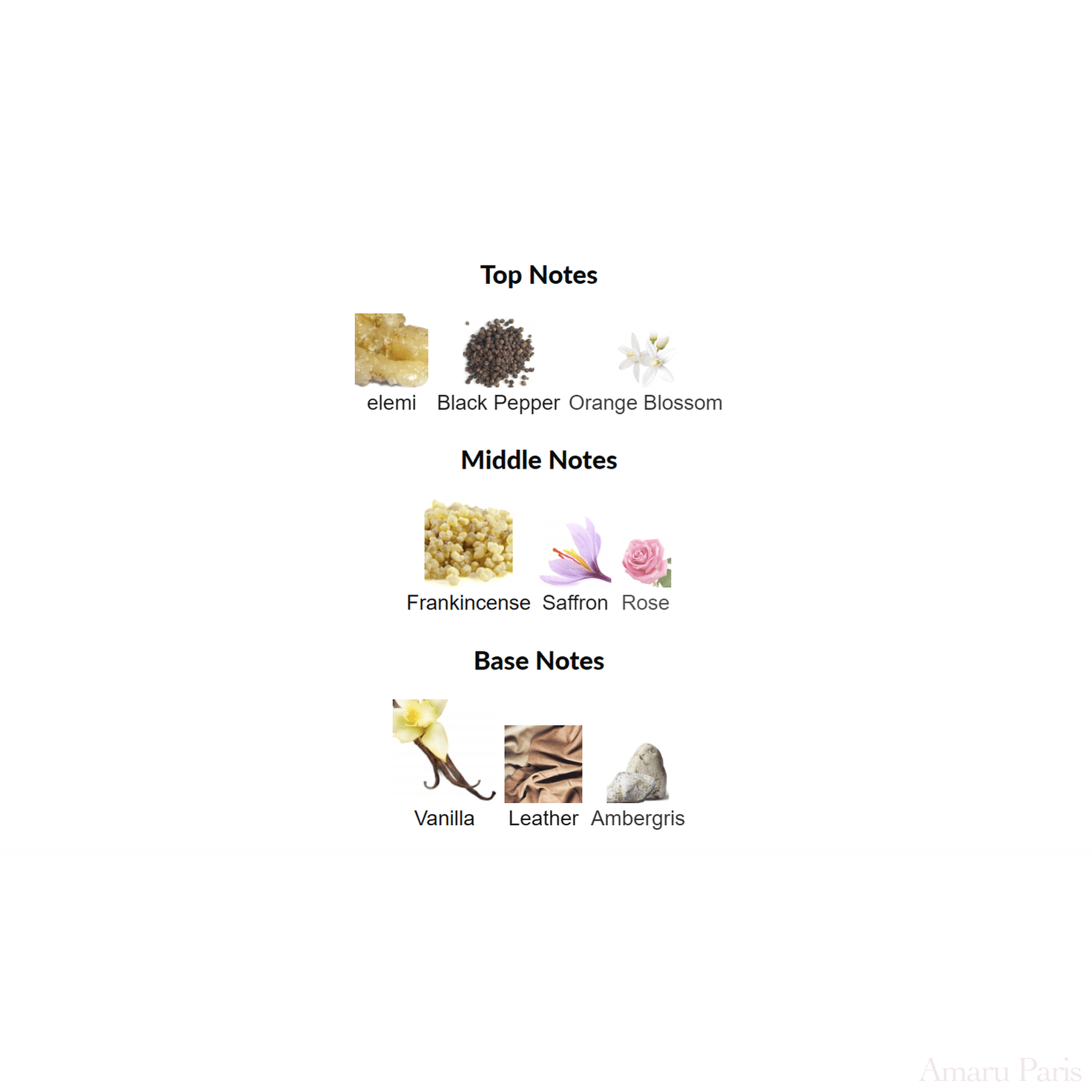 Eau de Audacity Penhaligon's for women and men Decant Samples - ParfumAmaruParis