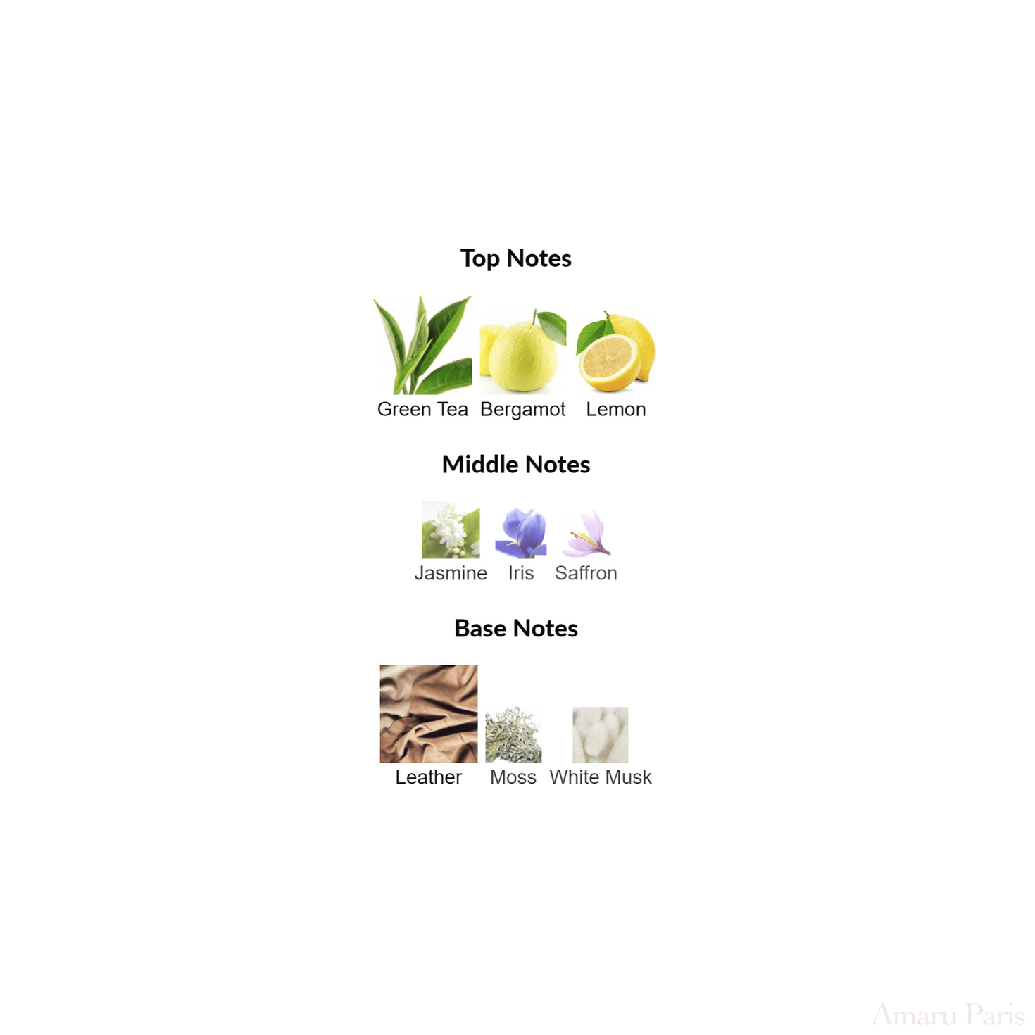 Eau de Memo Memo Paris for women and men Decant Samples - ParfumAmaruParis