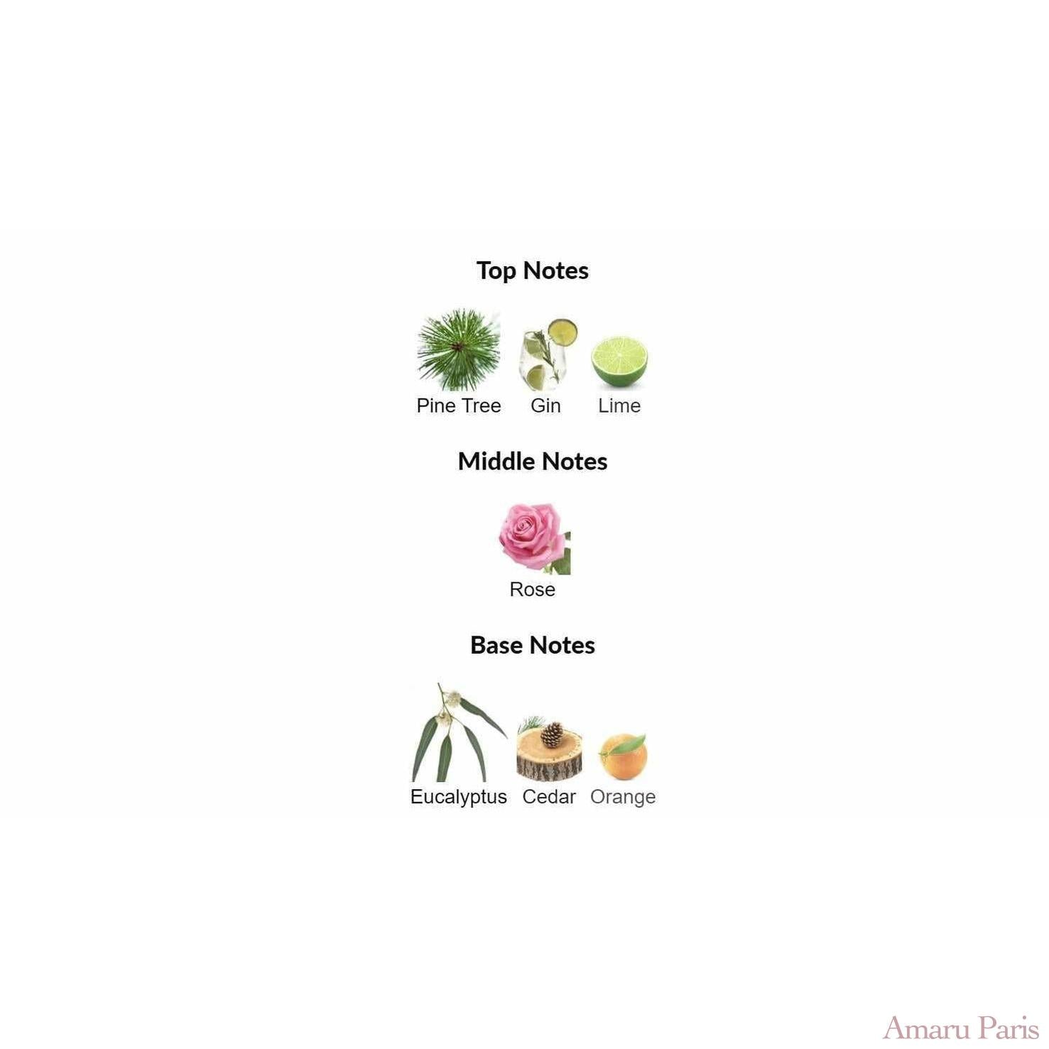 Royal Mayfair Creed for women and men - ParfumAmaruParis