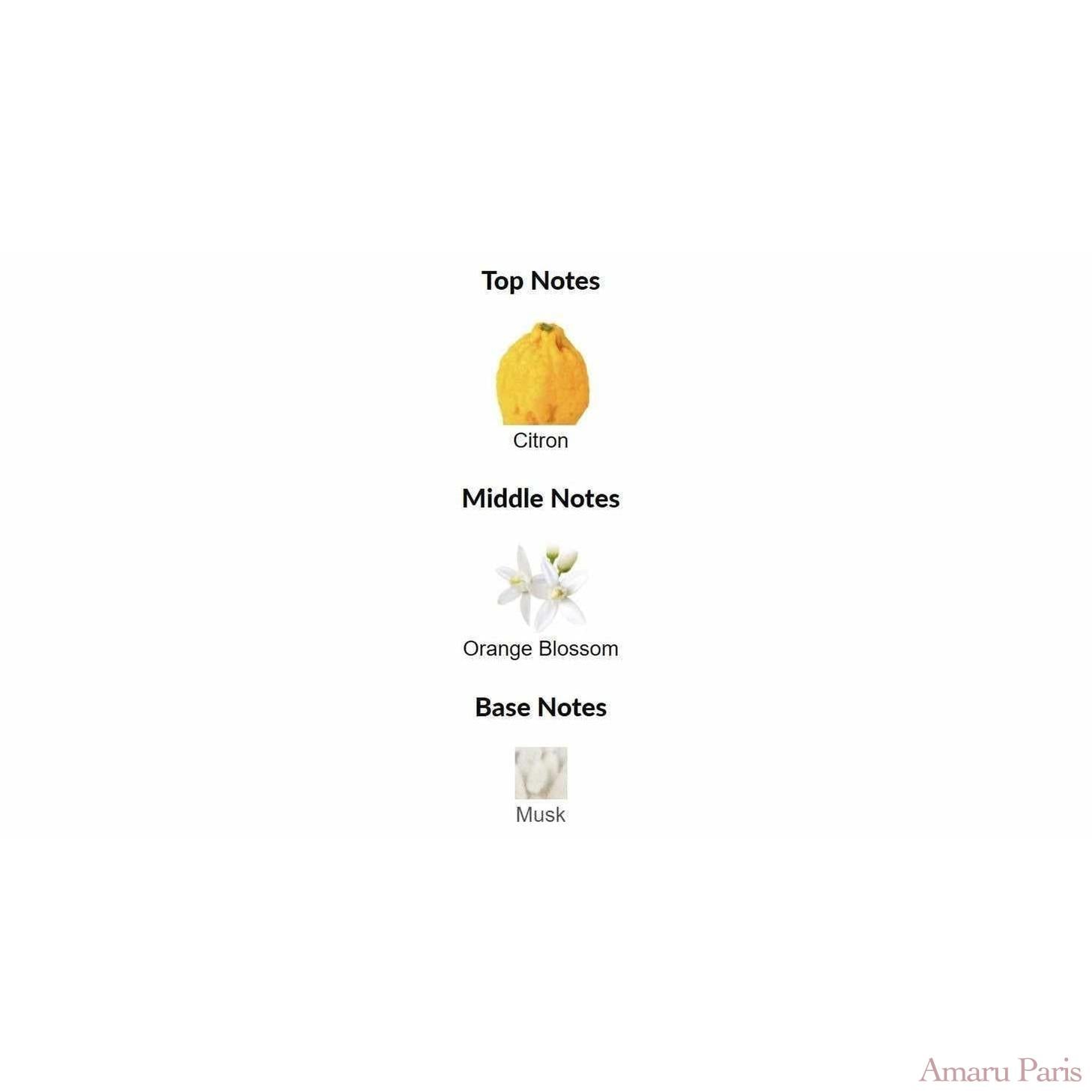Sun Song Louis Vuitton for women and men - ParfumAmaruParis