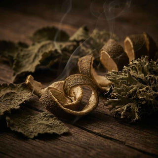 Parfums chyprés pour homme - AmaruParis