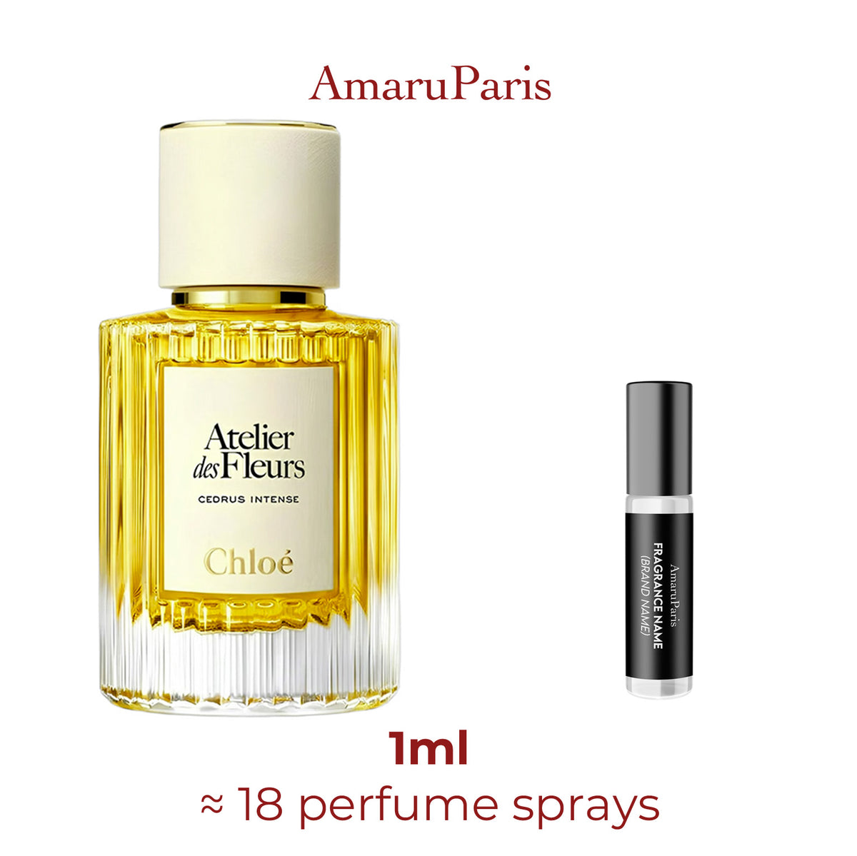 Cedrus Intense Chloé échantillon 1ml
