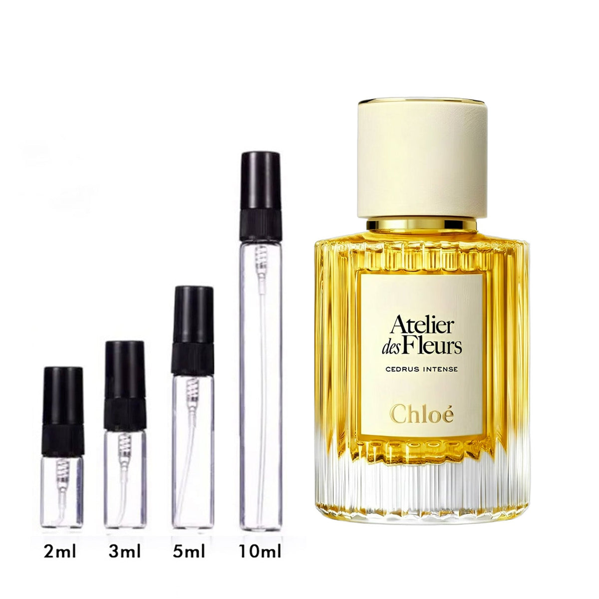 Parfum Cedrus Intense Chloé pour femme - ParfumAmaruParis