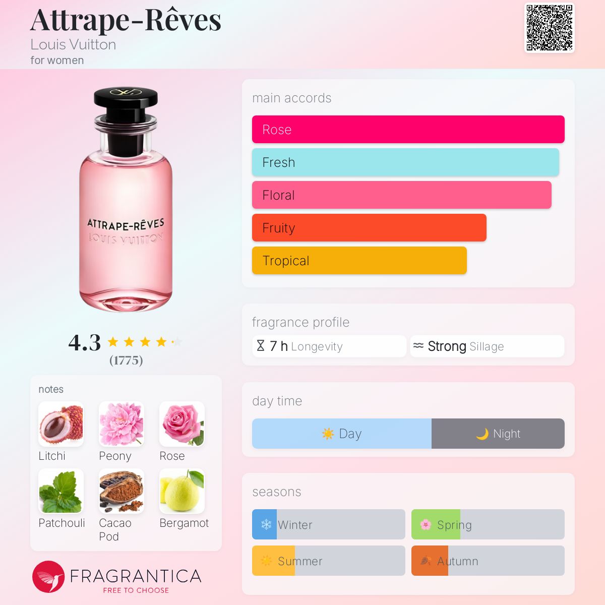 Women’s Essentials – Pack Découverte - 50% - ParfumAmaruParis